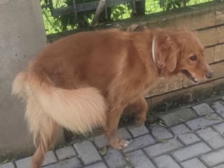 Ekran-Resmi-2026-02-04-13.28.59