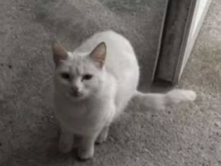 Ekran-Resmi-2026-02-04-13.36.35