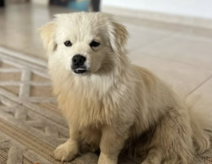 Ekran-Resmi-2026-02-04-13.38.54