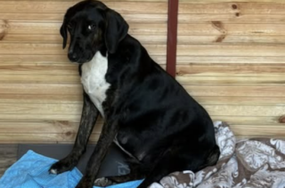 Ekran-Resmi-2026-02-04-13.43.05