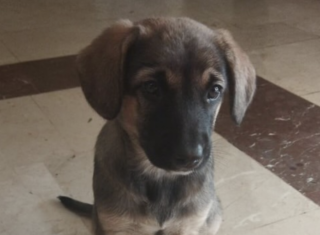 Ekran-Resmi-2026-02-04-13.44.35