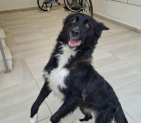 Ekran-Resmi-2026-02-04-13.47.51