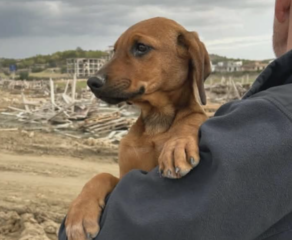 Ekran-Resmi-2026-02-04-14.04.57