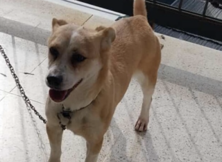 Ekran-Resmi-2026-02-04-21.46.52