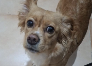 Ekran-Resmi-2026-02-04-22.27.49