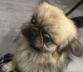 Ekran-Resmi-2026-02-04-22.36.09