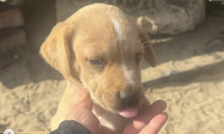 Ekran-Resmi-2026-02-04-22.43.29