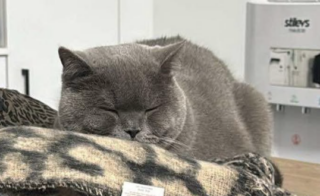 Ekran-Resmi-2026-02-04-22.45.43