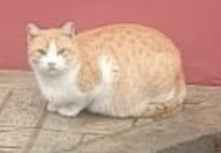 Ekran-Resmi-2026-02-04-22.48.15