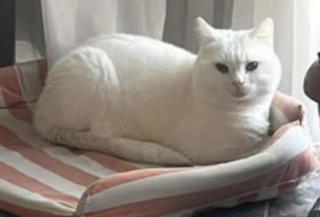 Ekran-Resmi-2026-02-04-22.51.14