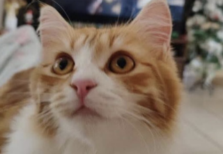 Ekran-Resmi-2026-02-04-23.46.16