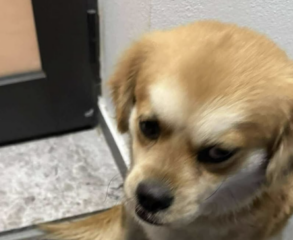 Ekran-Resmi-2026-02-04-23.50.43