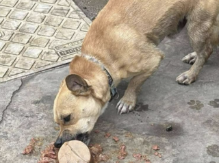 Ekran-Resmi-2026-02-04-23.59.45