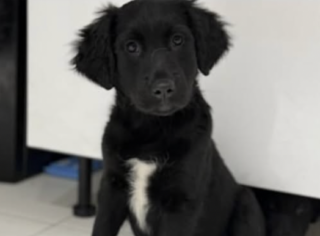 Ekran-Resmi-2026-02-05-00.35.29