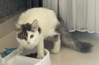 Ekran-Resmi-2026-02-05-00.42.11