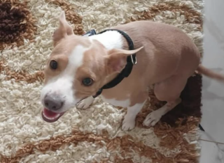 Ekran-Resmi-2026-02-05-00.50.27