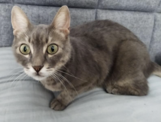 Ekran-Resmi-2026-02-05-14.02.48