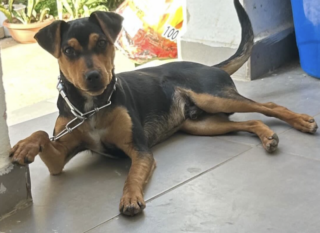 Ekran-Resmi-2026-02-05-14.04.44