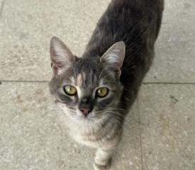 Ekran-Resmi-2026-02-05-14.06.39