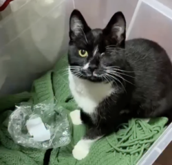 Ekran-Resmi-2026-02-05-14.19.07