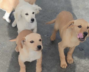 Ekran-Resmi-2026-02-05-14.21.20