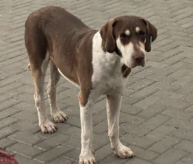 Ekran-Resmi-2026-02-05-16.24.51