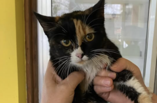 Ekran-Resmi-2026-02-05-16.26.33