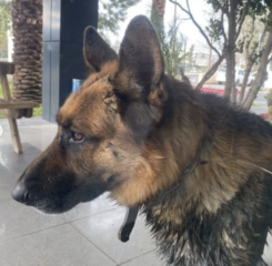 Ekran-Resmi-2026-02-05-16.43.21