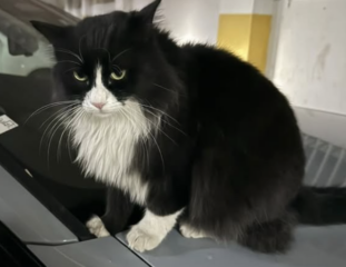 Ekran-Resmi-2026-02-05-16.49.40