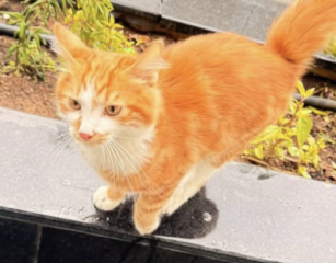 Ekran-Resmi-2026-02-05-17.07.10