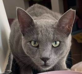 Ekran-Resmi-2026-02-05-17.13.26