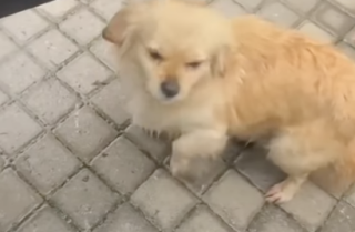 Ekran-Resmi-2026-02-05-17.48.55