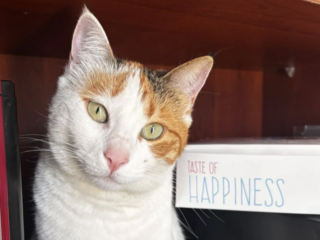 Ekran-Resmi-2026-02-05-17.52.02