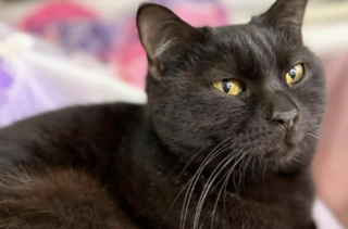 Ekran-Resmi-2026-02-06-17.44.11