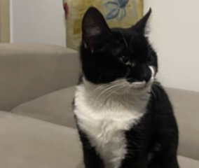 Ekran-Resmi-2026-02-06-17.45.40