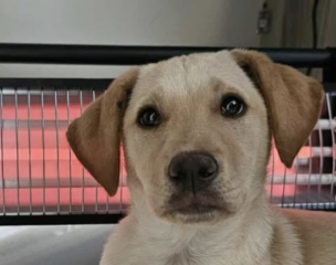 Ekran-Resmi-2026-02-06-19.36.27