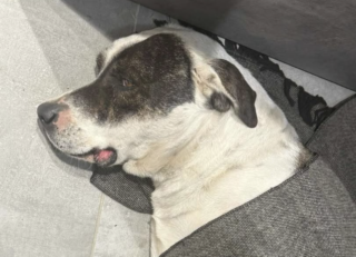 Ekran-Resmi-2026-02-06-19.38.14