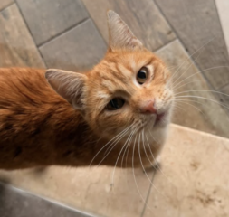 Ekran-Resmi-2026-02-06-19.40.10