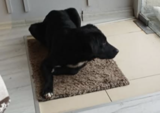 Ekran-Resmi-2026-02-06-20.54.16