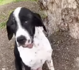 Ekran-Resmi-2026-02-06-21.50.01