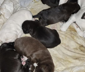 Ekran-Resmi-2026-02-06-21.58.05