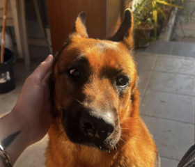 Ekran-Resmi-2026-02-06-22.36.42