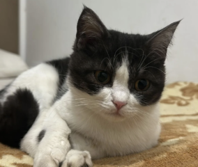 Ekran-Resmi-2026-02-06-22.38.50