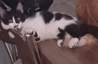 Ekran-Resmi-2026-02-06-22.40.48