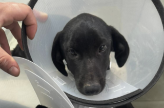 Ekran-Resmi-2026-02-06-22.55.54