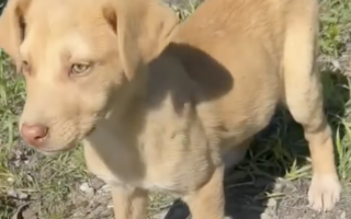 Ekran-Resmi-2026-02-28-23.08.06