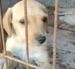 Ekran-Resmi-2026-02-28-23.08.21