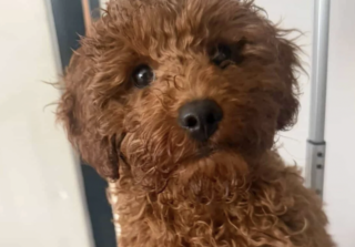 Ekran-Resmi-2026-02-28-23.12.27