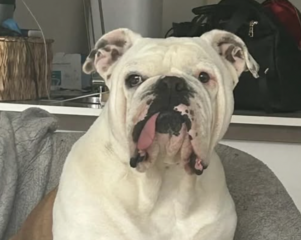 Ekran-Resmi-2026-02-28-23.13.55