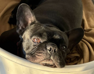 Ekran-Resmi-2026-02-28-23.17.33